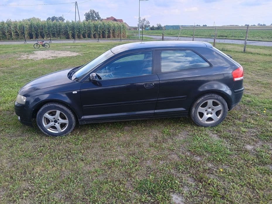 Audi A3 8P 2.0 TDI (2003) - miniatura 4