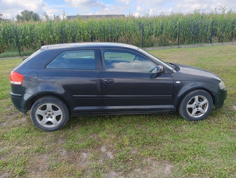 Audi A3 8P 2.0 TDI (2003) - miniatura 5