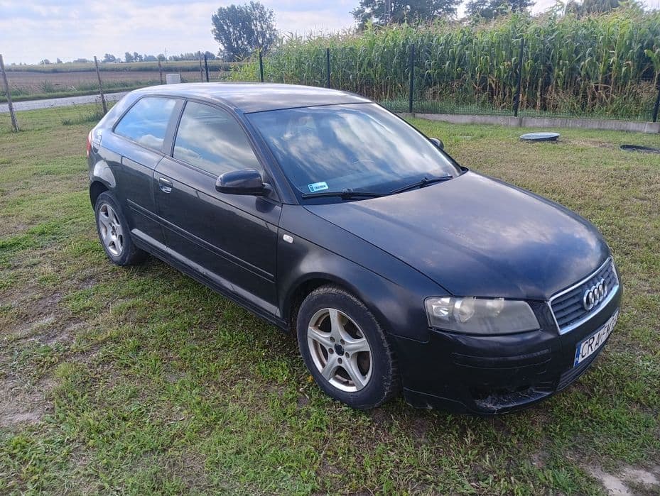 Audi A3 8P 2.0 TDI (2003) - miniatura 2